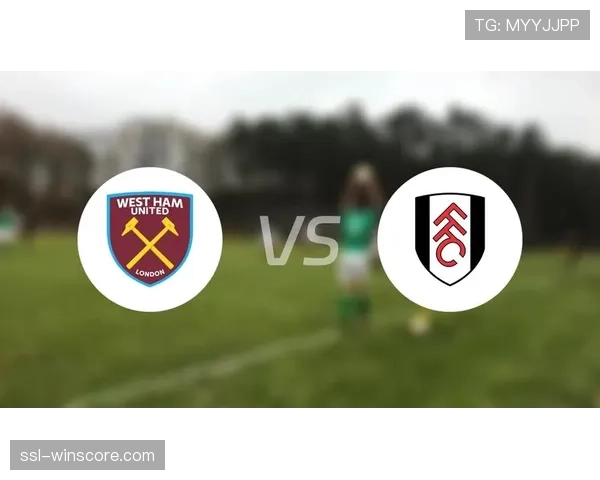 比赛中断:西汉姆联对阵富勒姆因看台医疗紧急事件暂停15分钟 比赛中断:西汉姆联对阵富勒姆因看台医疗紧急事件暂停15分钟